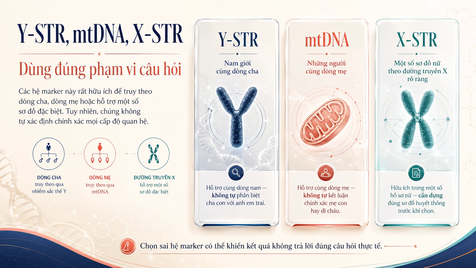 So sánh Y-STR, mtDNA và X-STR