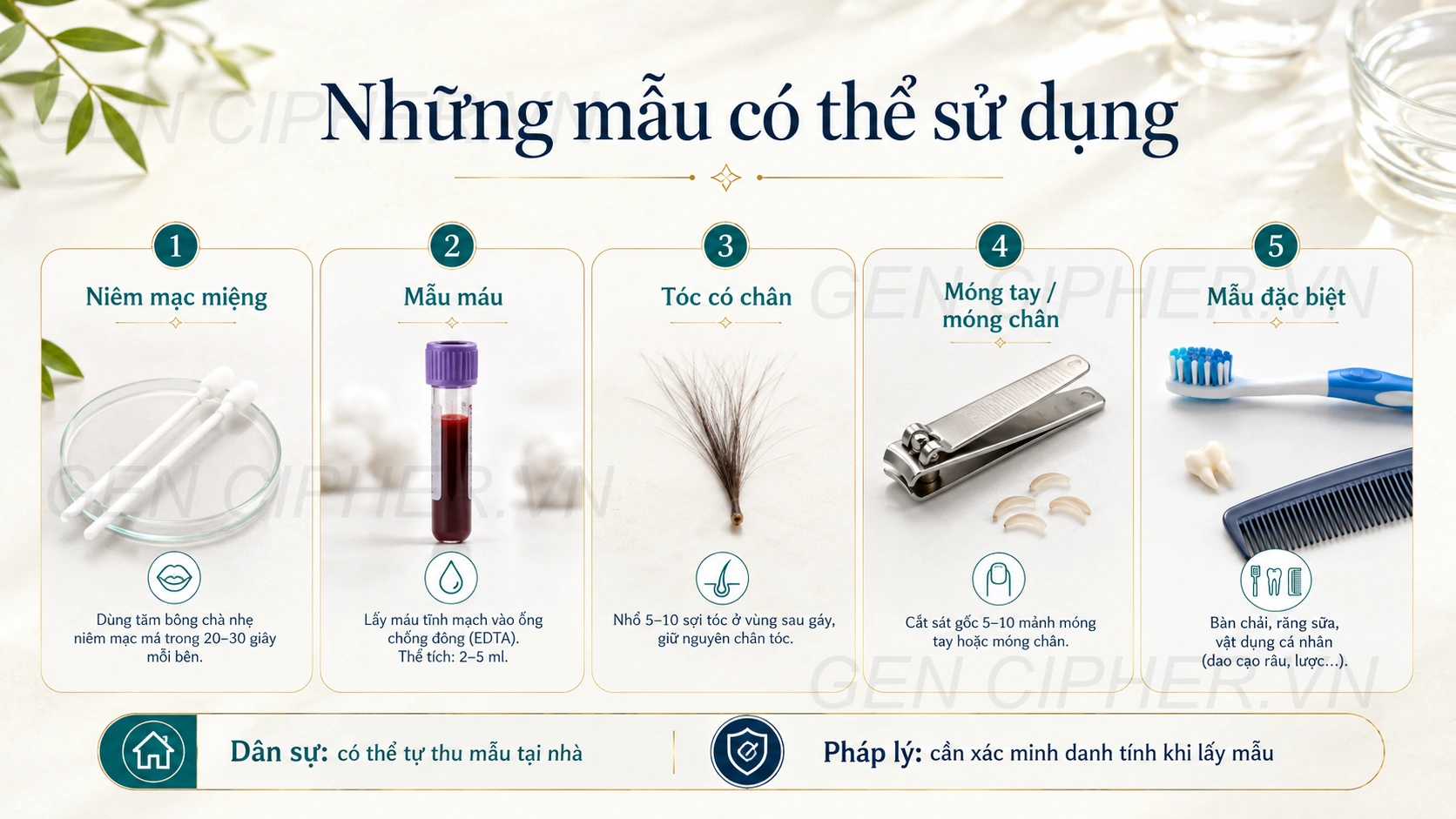 Các loại mẫu dùng cho xét nghiệm ADN bà ngoại và cháu