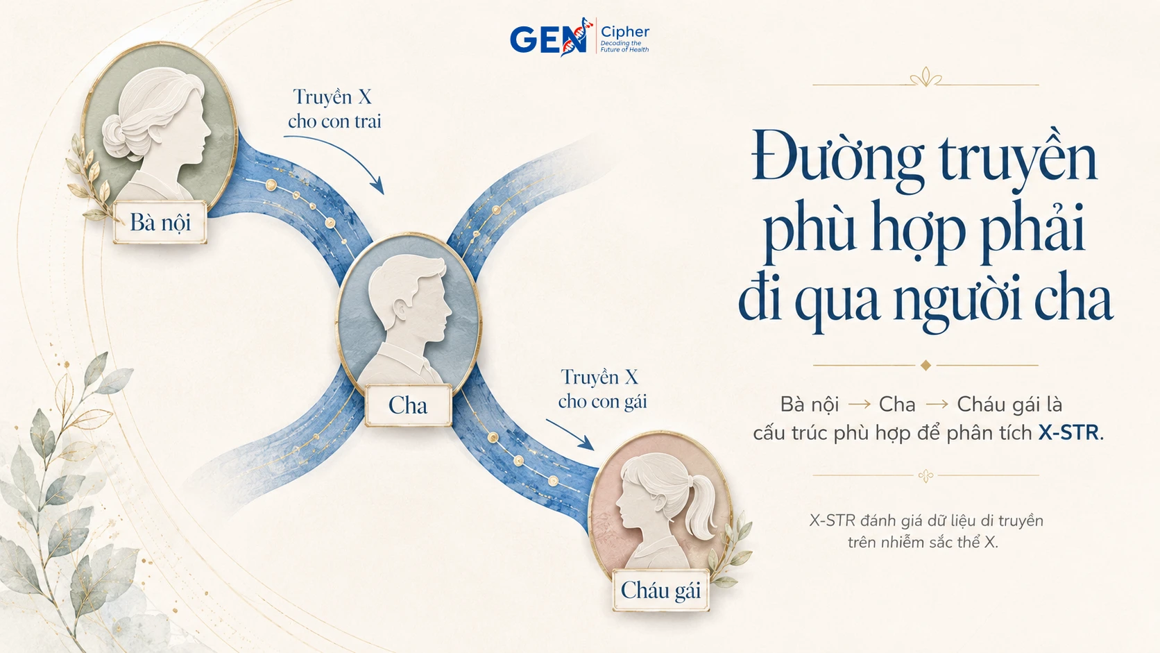 Đường truyền nhiễm sắc thể X từ bà nội qua người cha đến cháu gái
