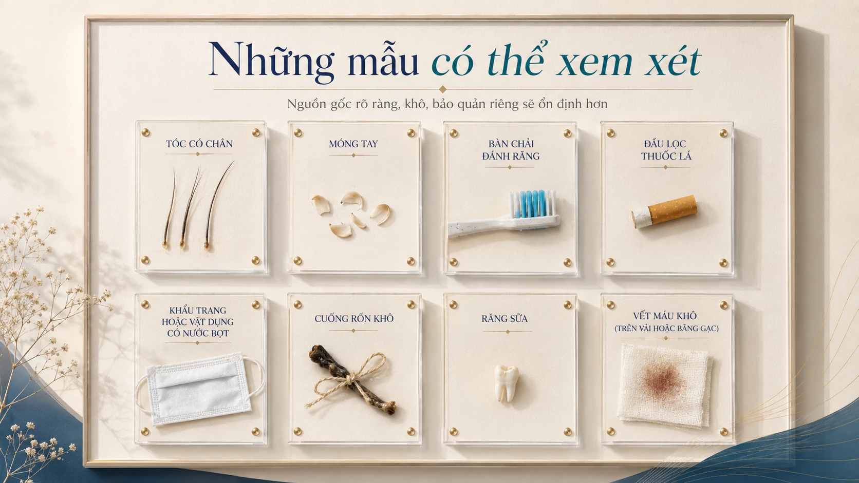 Các loại mẫu có thể xem xét cho xét nghiệm ADN bí mật