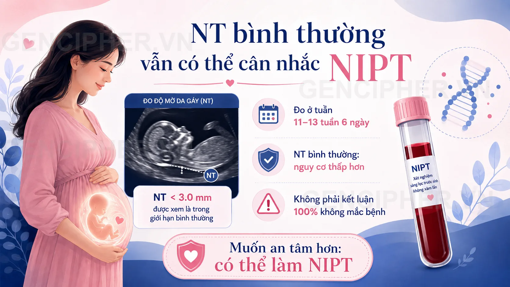 Minh họa 2. Siêu âm Độ mờ da gáy (NT) bình thường có cần làm NIPT?