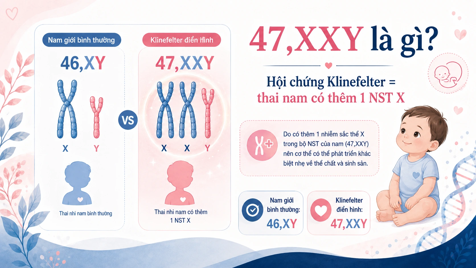 Minh họa 1. Hội chứng Klinefelter (47,XXY) là gì?