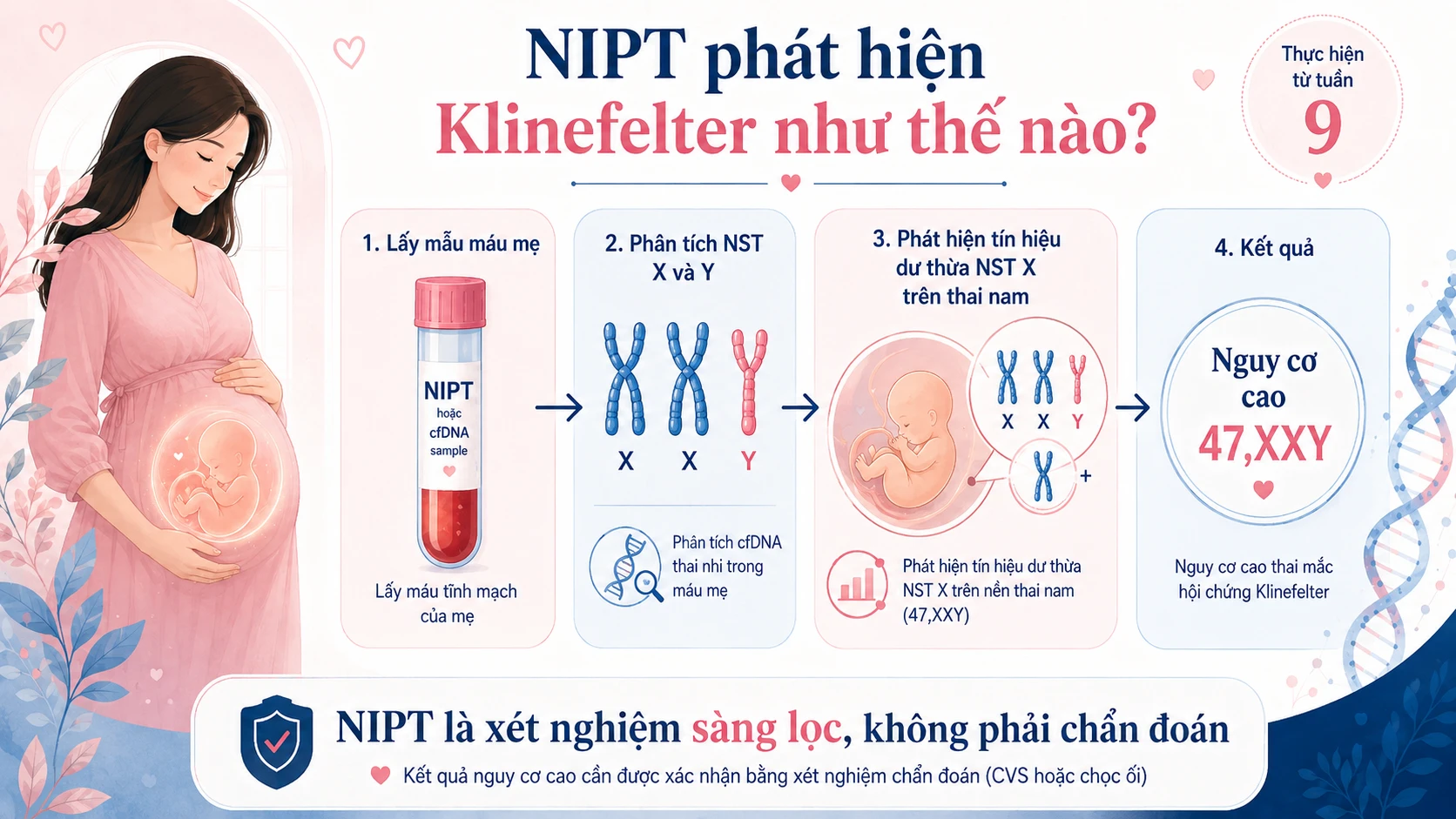 Minh họa 4. Vai trò của Xét nghiệm NIPT trong Sàng lọc Klinefelter