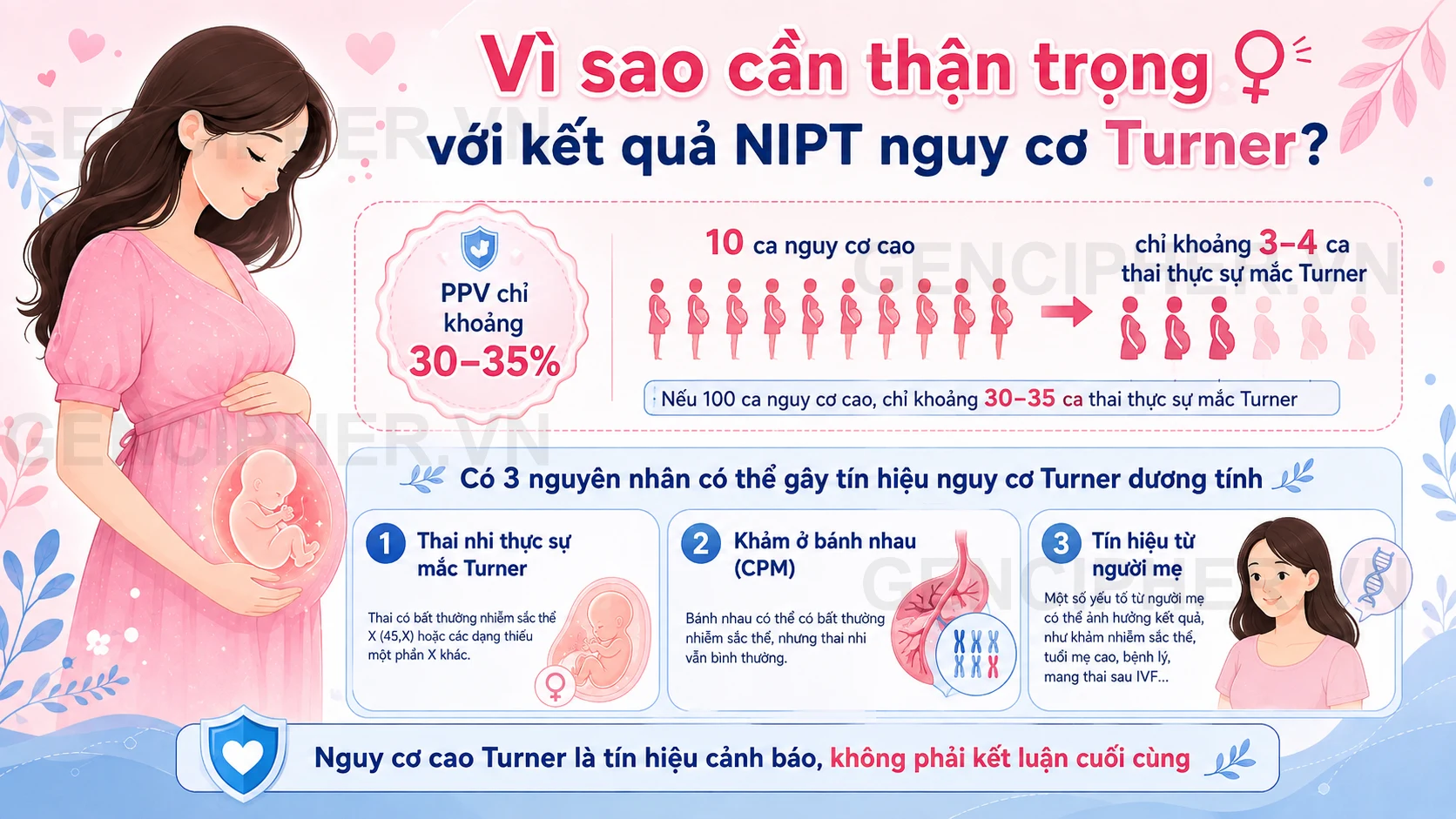 Minh họa vì sao kết quả NIPT nguy cơ Turner cần được đánh giá phù hợp