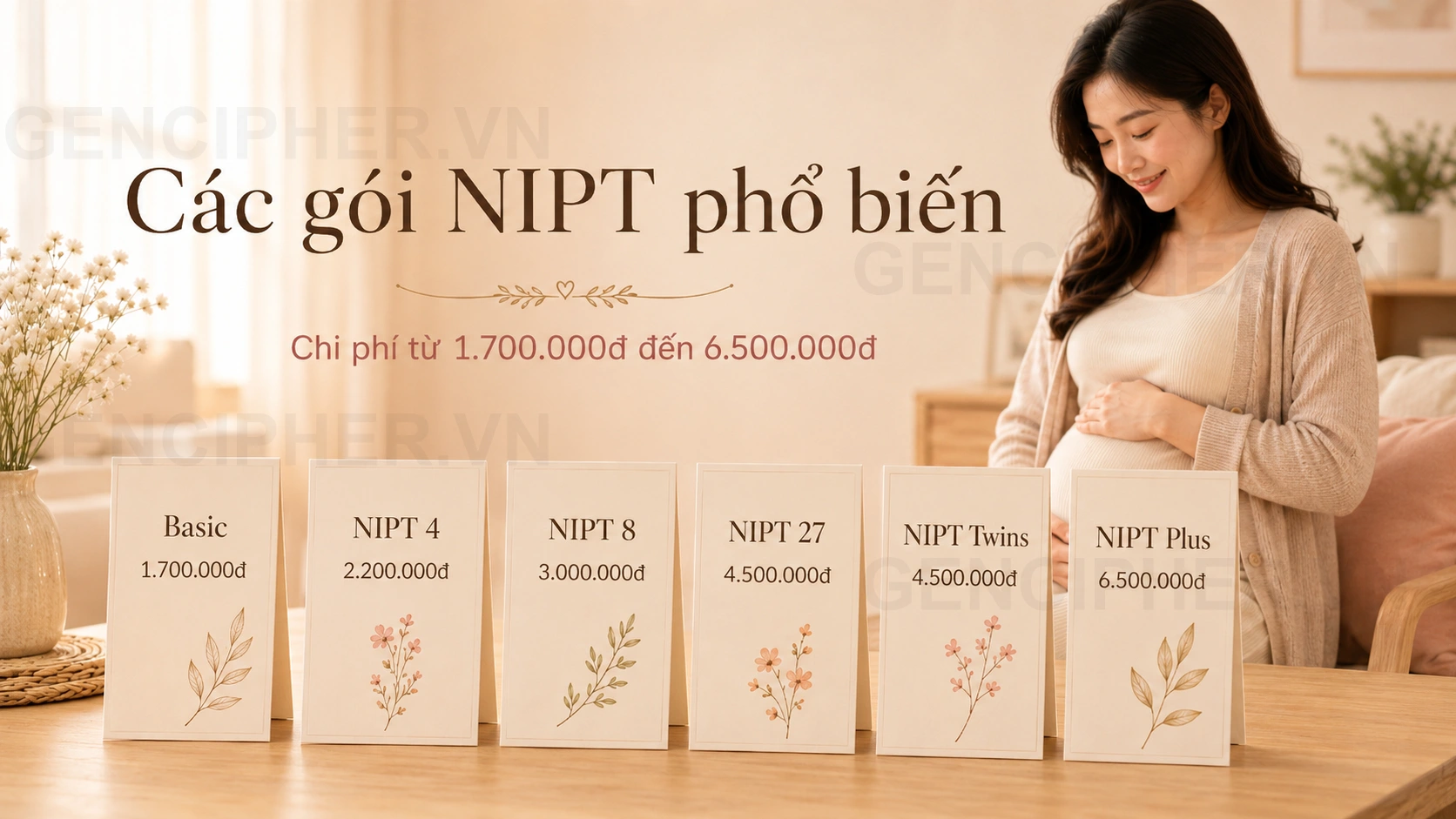 Minh họa Chi tiết phạm vi & Quyền lợi các gói NIPT tại GEN CIPHER